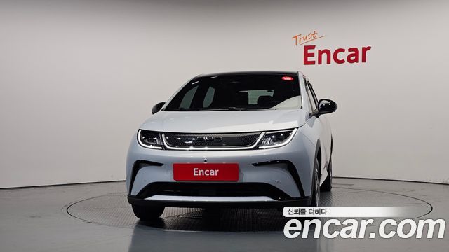 BYD Dolphin Base - фото 2
