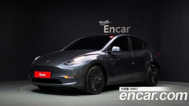 Tesla Model Y Long Range AWD - фото 0