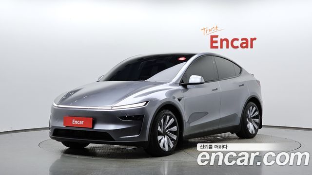 Tesla Model Y Long Range Launch Edition AWD - фото 0
