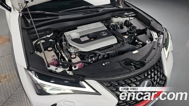 Lexus UX 250h 2.0 2WD - фото 4