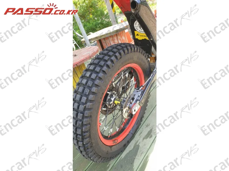 Gas Gas 2 T 250 - фото 3