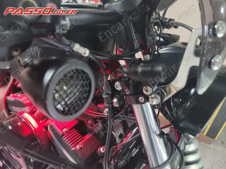 Harley-Davidson Xl 883 C - фото 6