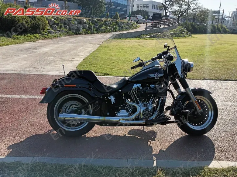 Harley-Davidson Flstfb - фото 0