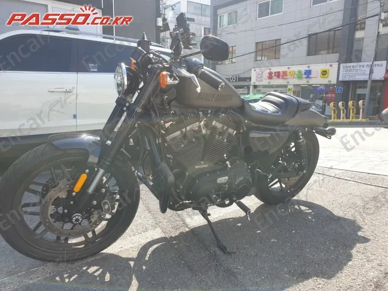 Harley-Davidson Roadster 1200 - фото 1