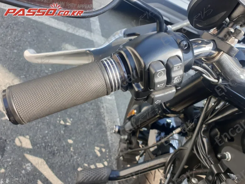 Harley-Davidson Roadster 1200 - фото 3