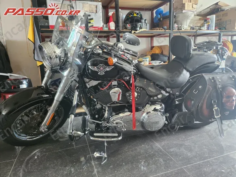 Harley-Davidson Flstf - фото 0