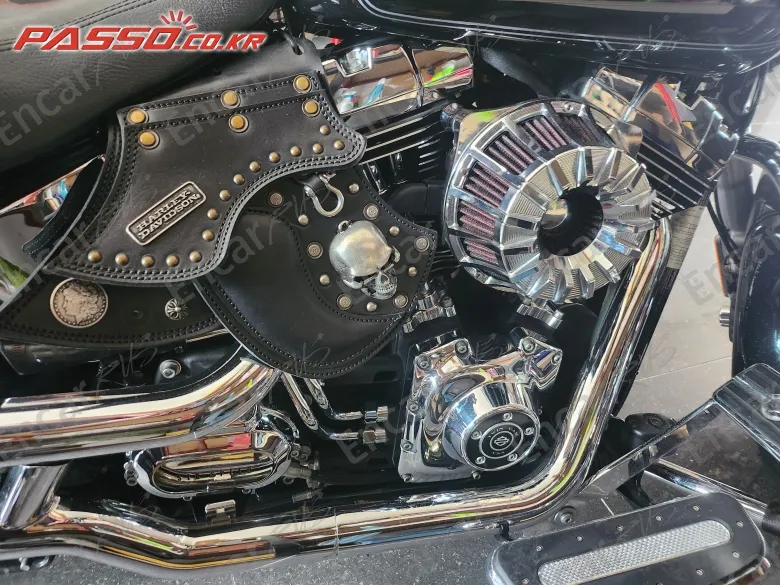 Harley-Davidson Flstf - фото 6