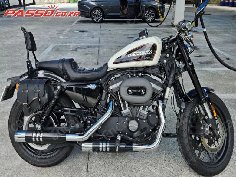 Harley-Davidson Roadster 1200 - фото 0