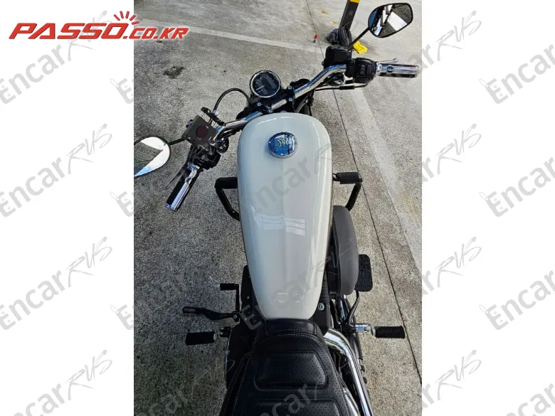 Harley-Davidson Roadster 1200 - фото 3