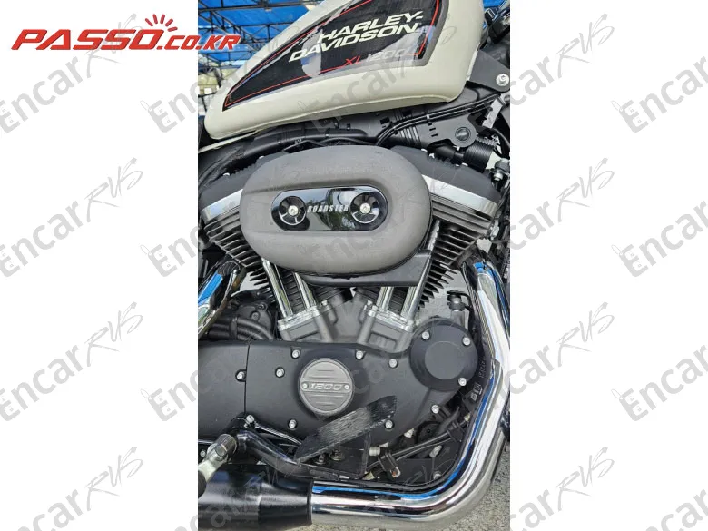 Harley-Davidson Roadster 1200 - фото 4
