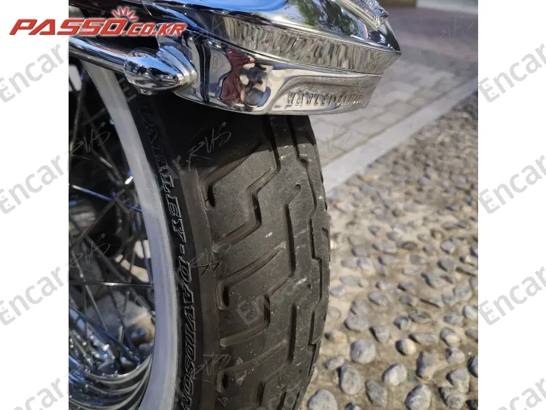 Harley-Davidson Electra Glide Highway King - фото 5