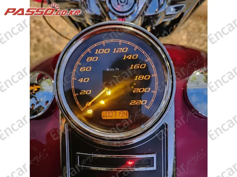 Harley-Davidson Electra Glide Highway King - фото 6