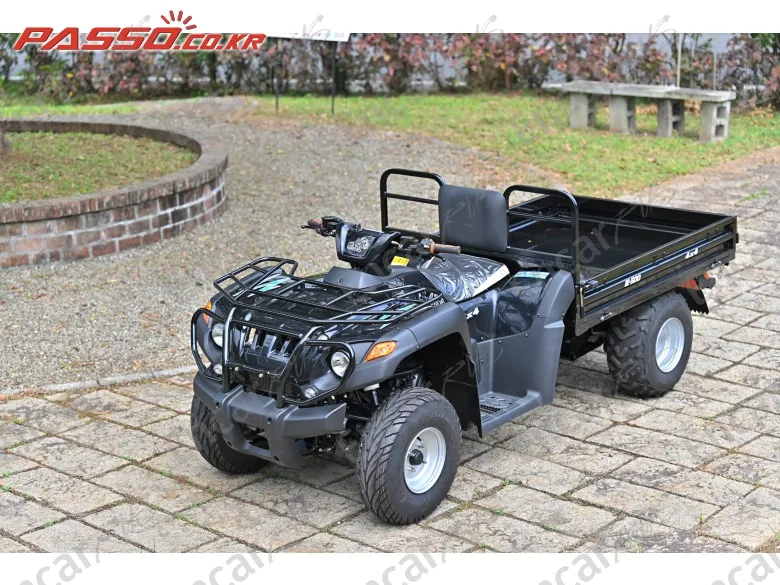 Others Atv - фото 1