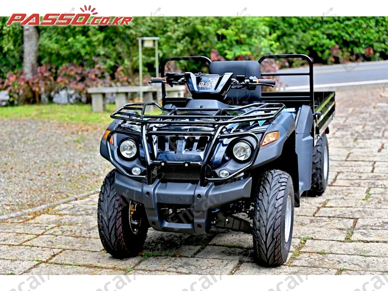 Others Atv - фото 3