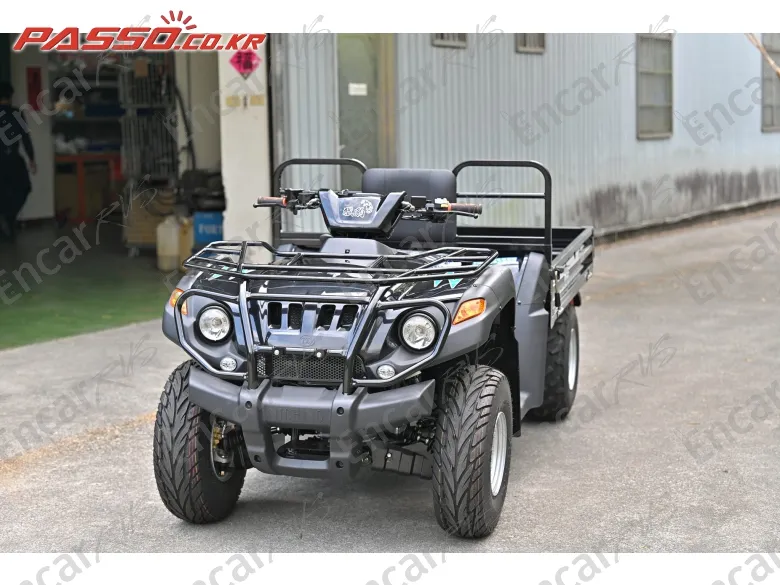 Others Atv - фото 4