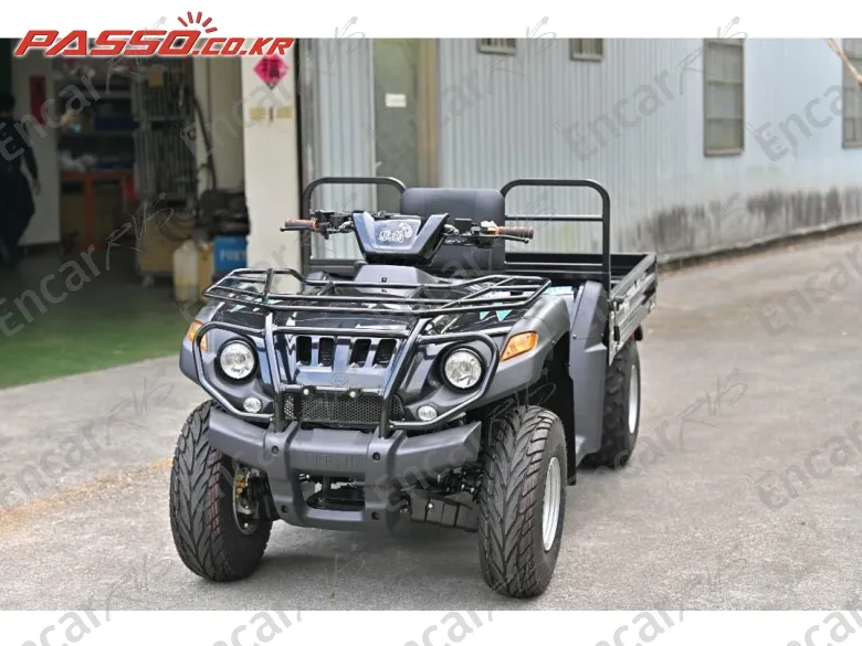 Others Atv - фото 6