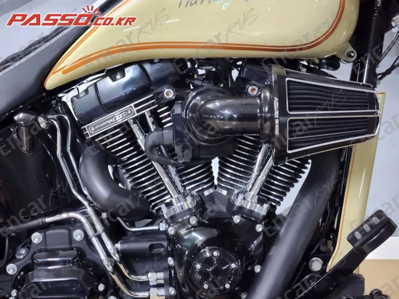 Harley-Davidson Softail Slim S - фото 4