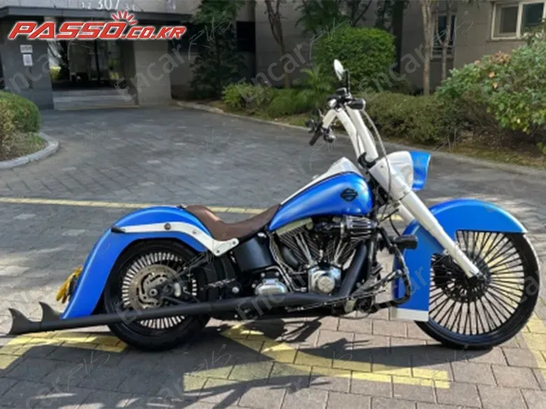 Harley-Davidson Flstfb - фото 0