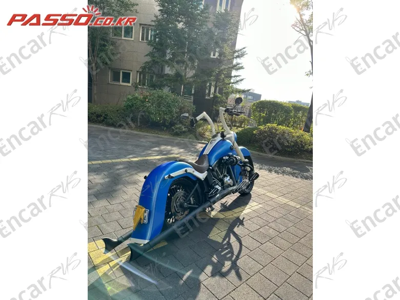 Harley-Davidson Flstfb - фото 6