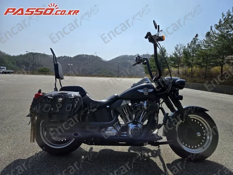 HARLEY-DAVIDSON FLSTF - фото 0