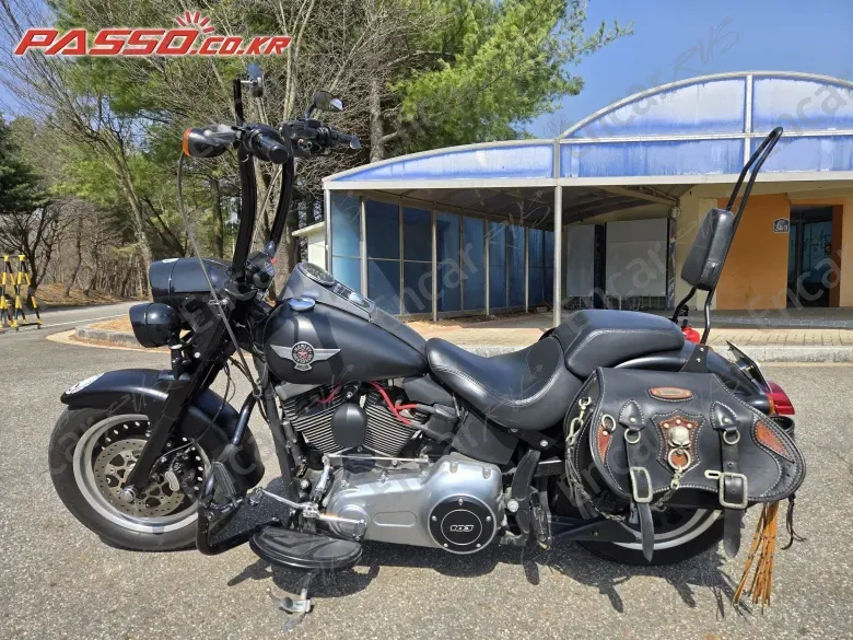 HARLEY-DAVIDSON FLSTF - фото 1