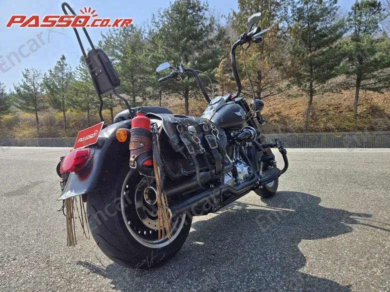 HARLEY-DAVIDSON FLSTF - фото 5
