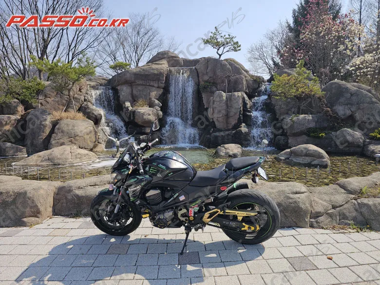 Kawasaki Z 800 - фото 0