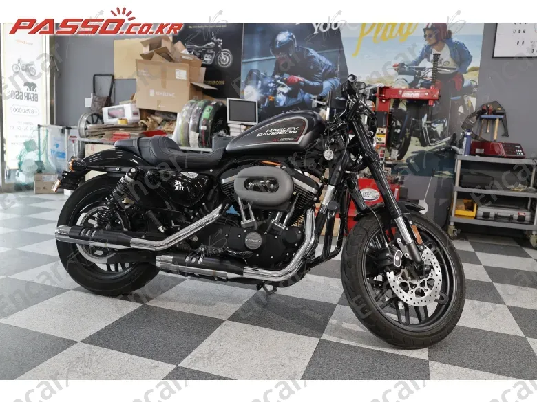 Harley-Davidson Roadster 1200 - фото 0