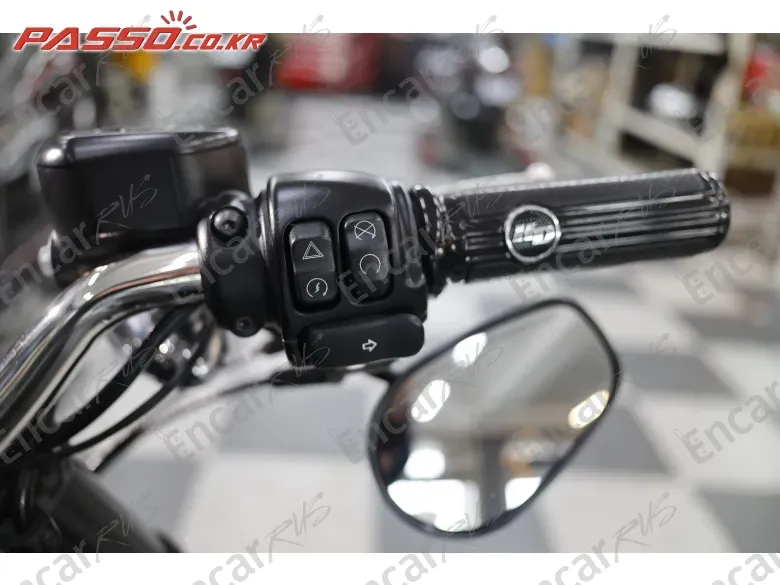 Harley-Davidson Roadster 1200 - фото 3