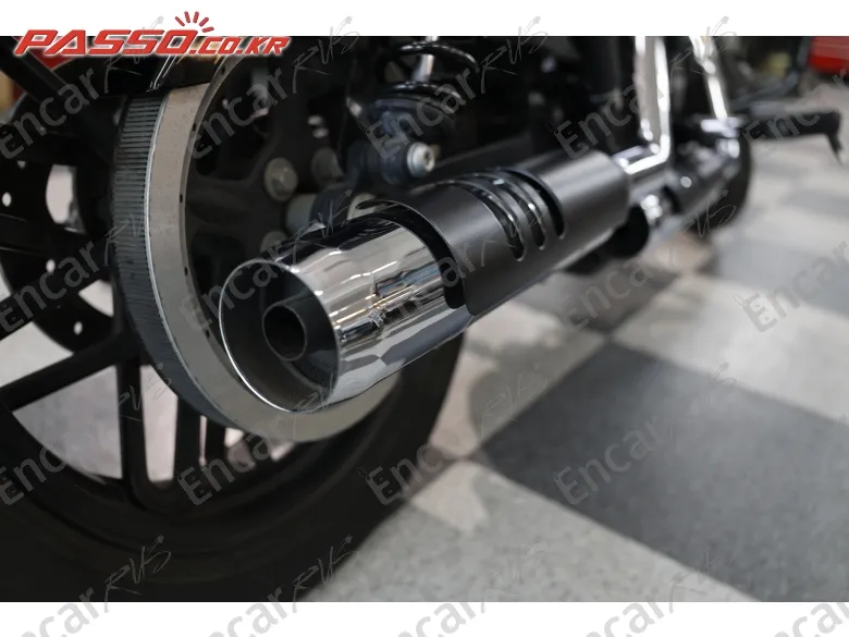 Harley-Davidson Roadster 1200 - фото 6