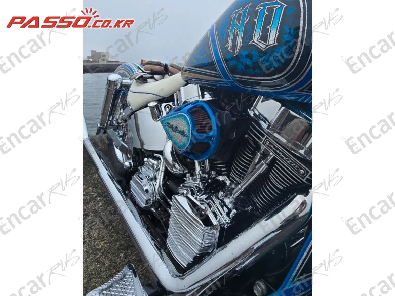 Harley-Davidson Softail Slim S - фото 4