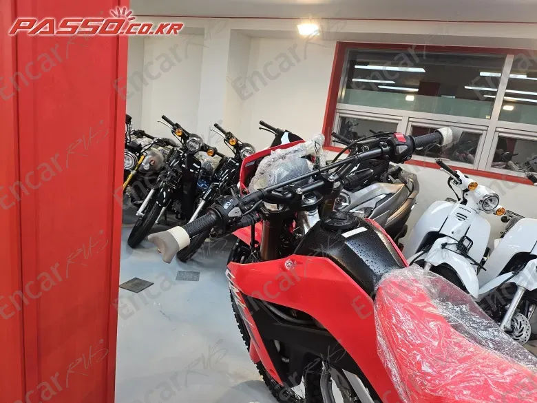 Honda Crf 300 L - фото 3