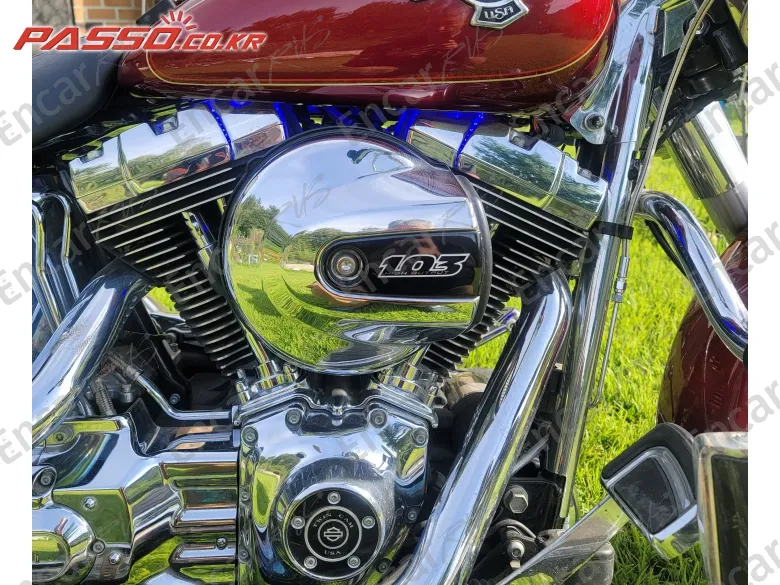 HARLEY-DAVIDSON FLSTF - фото 4