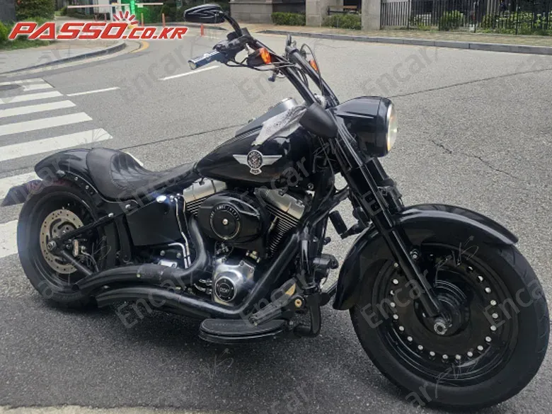 Harley-Davidson Flstfb - фото 0