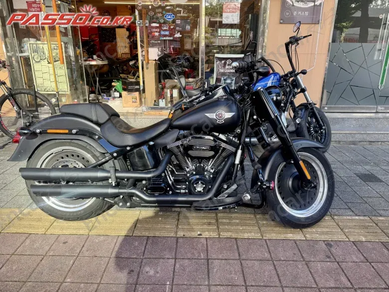 Harley-Davidson Flstfbs - фото 0