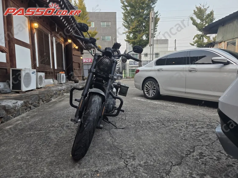 Harley-Davidson Xl 1200 R - фото 5