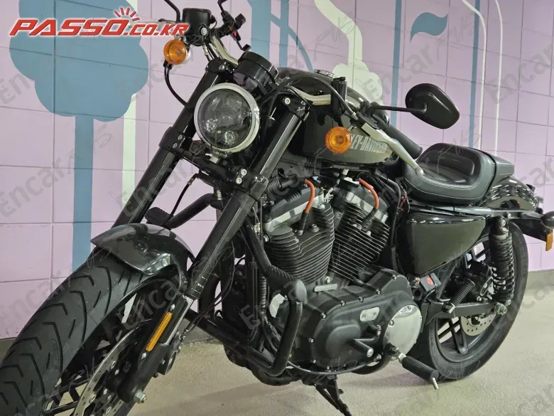 Harley-Davidson Roadster 1200 - фото 1