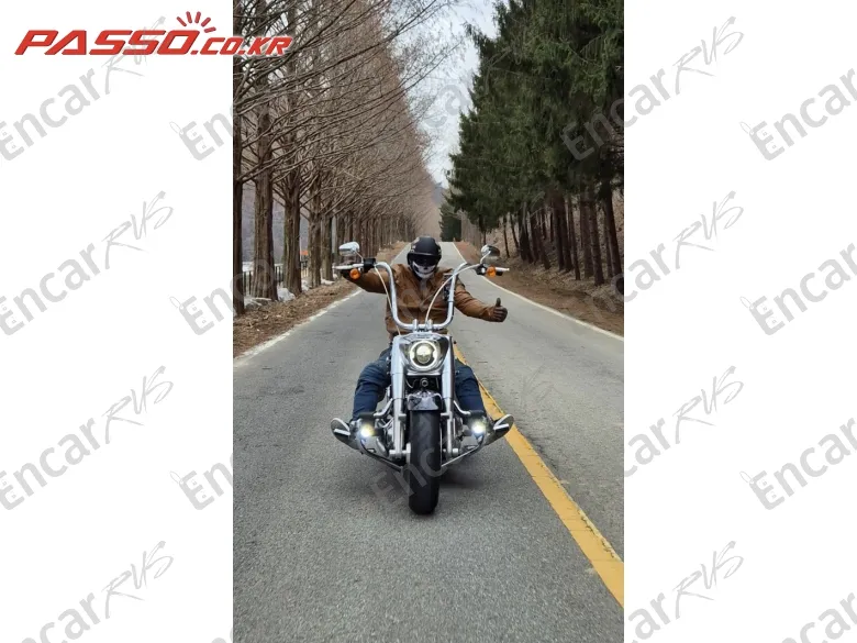 HARLEY-DAVIDSON FAT BOY 114 - фото 4
