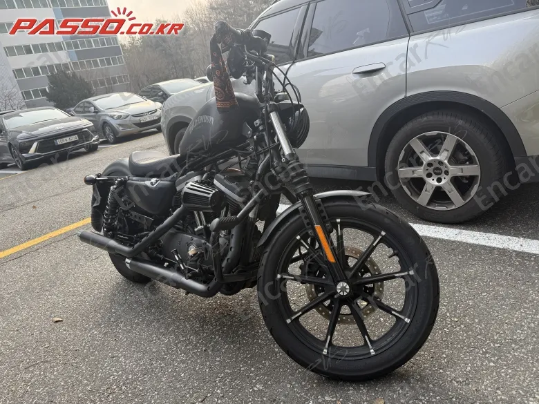 Harley-Davidson Xl 883 - фото 4