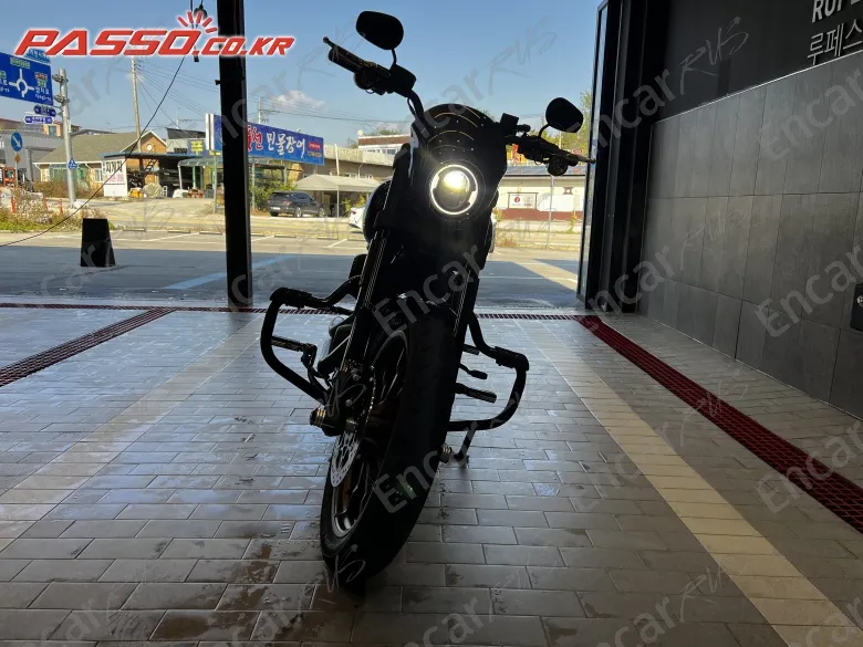 Harley-Davidson Fxdls - фото 4