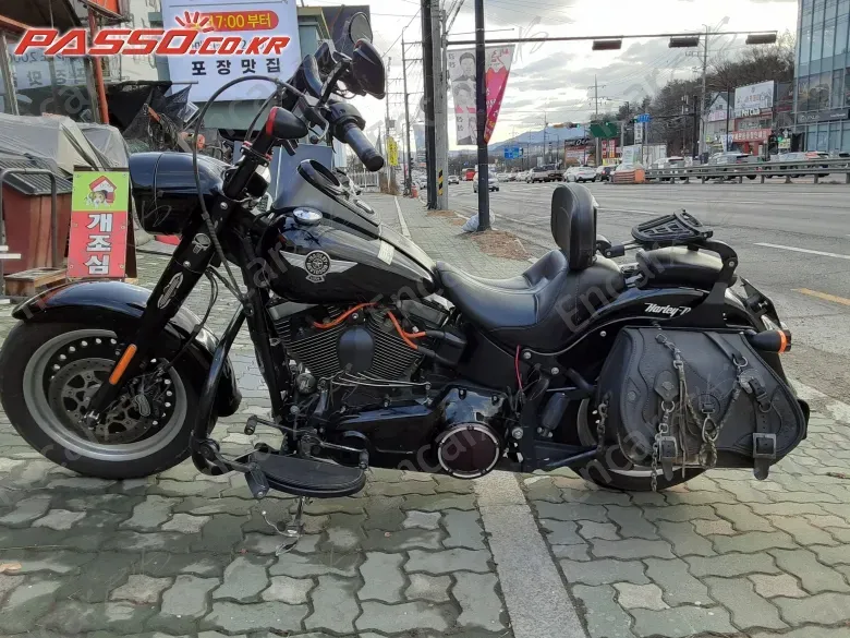Harley-Davidson Flstf - фото 1