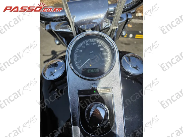 Harley-Davidson Flstf - фото 4