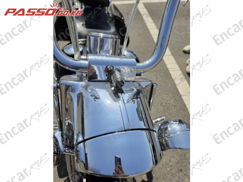 Harley-Davidson Flstf - фото 6