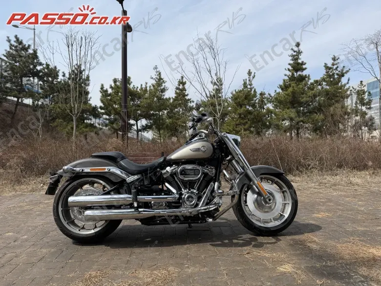HARLEY-DAVIDSON FAT BOY 114 - фото 0
