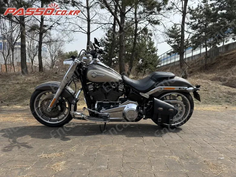 HARLEY-DAVIDSON FAT BOY 114 - фото 1