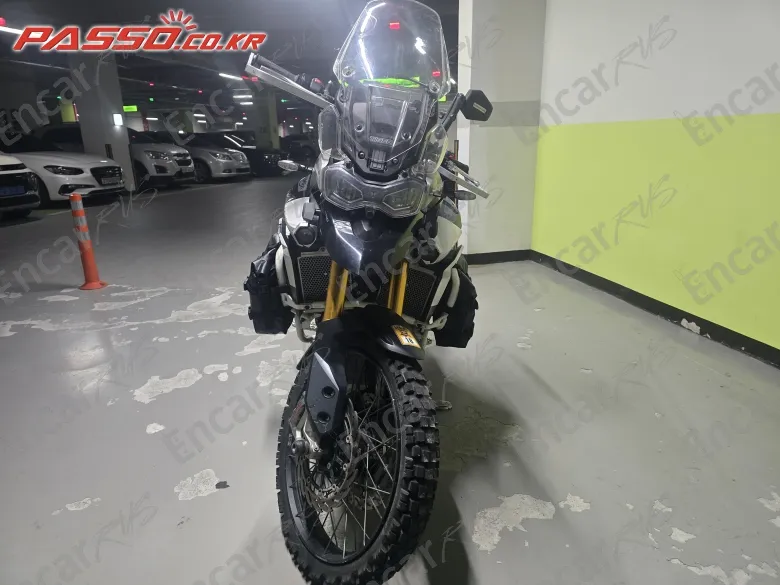 TRIUMPH TIGER 900 RALLY PRO - фото 1