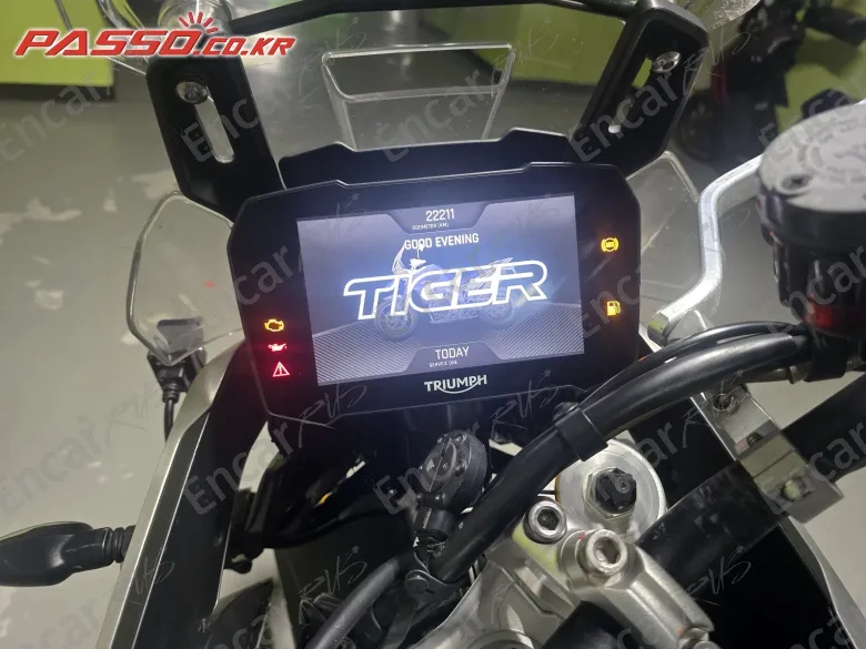 TRIUMPH TIGER 900 RALLY PRO - фото 5