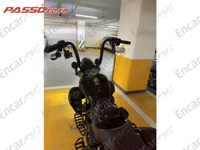 Harley-Davidson Flhrse - фото 3