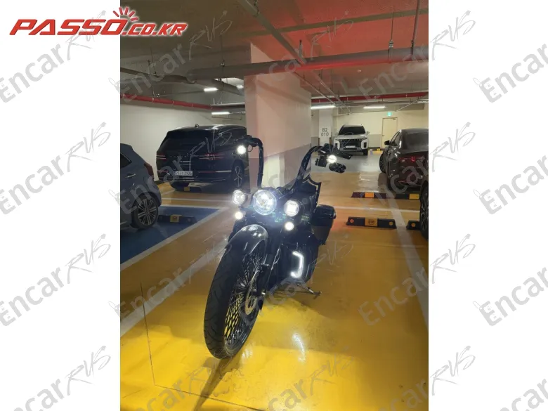 Harley-Davidson Flhrse - фото 4