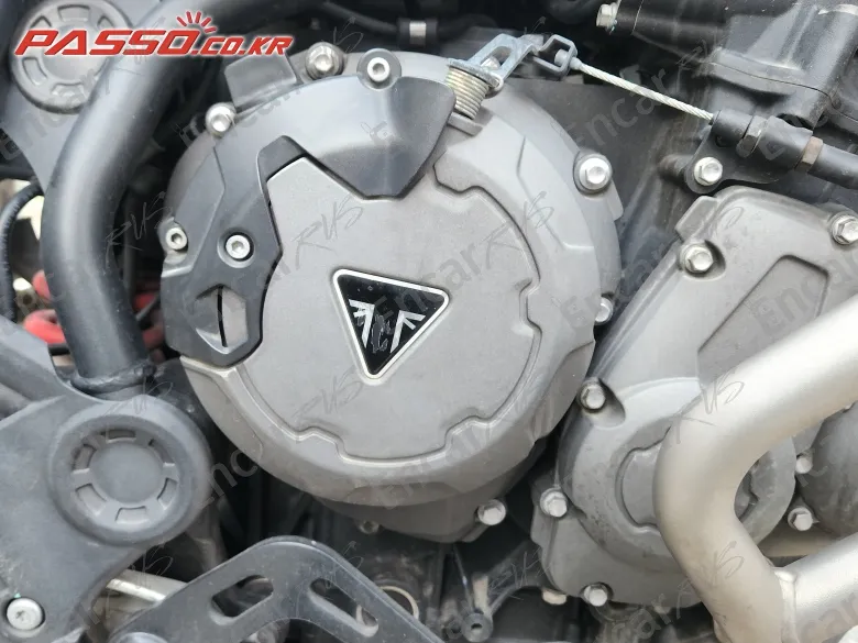 Triumph Tiger 900 Gt Pro - фото 4